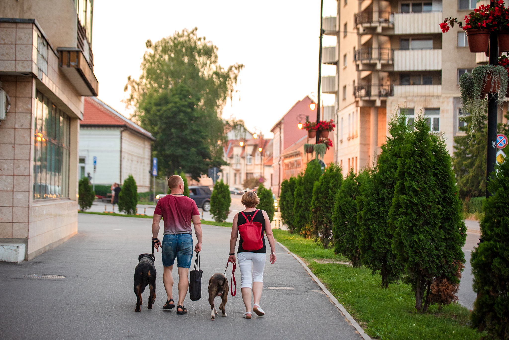 Felhívás a kisállattartókhoz, hogy ne hagyjanak állati ürüléket a közterületeken